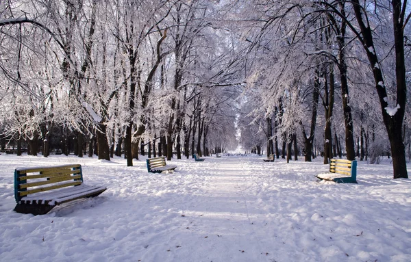 stock image Frosty day