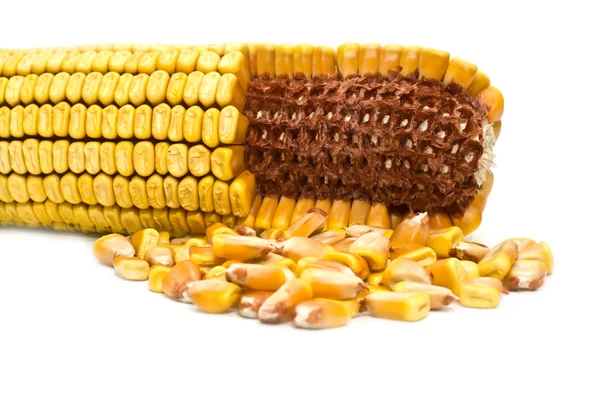 Кукуруза и зерно — стоковое фото