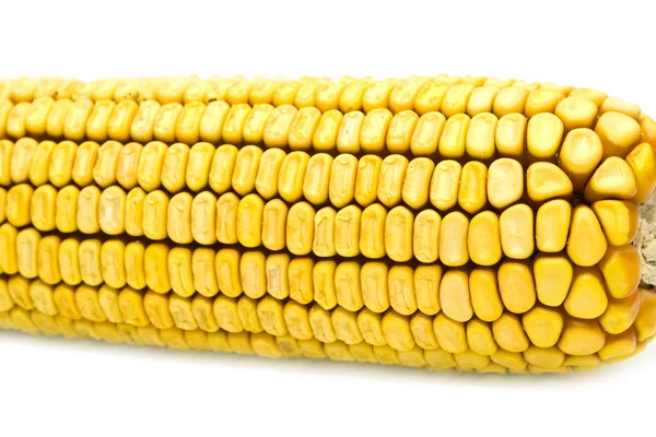Parte do milho — Fotografia de Stock