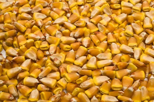 Texture da grano — Foto Stock