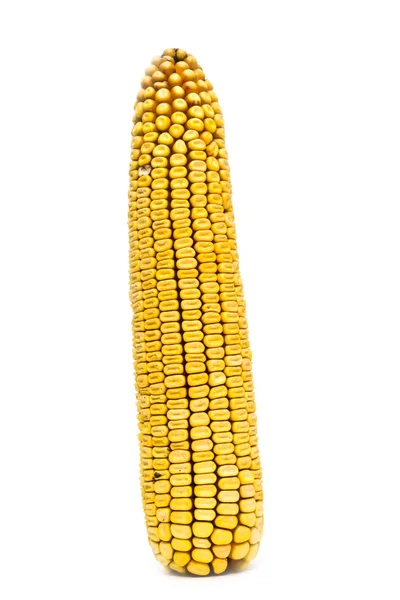 Vertikální kukuřice — Stock fotografie