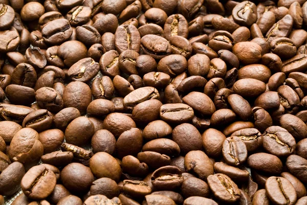 Granos de koffe —  Fotos de Stock