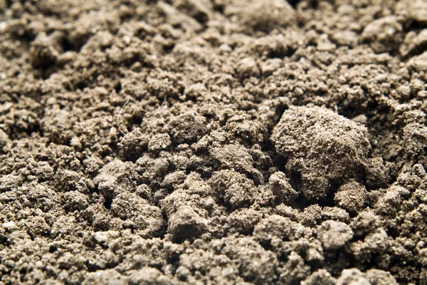 Неглубокая почва — стоковое фото