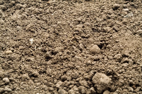 Soft soil — Stock Photo, Image