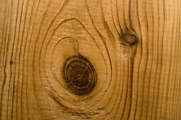 Patterns of tree — Stock Photo, Image