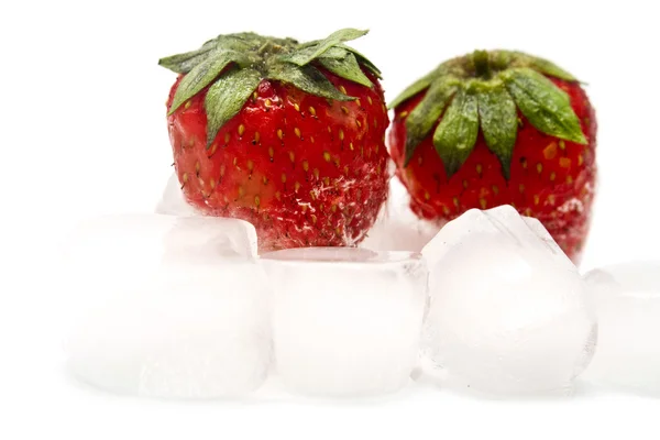 Strawberry and blocks of ice — Stock Photo, Image