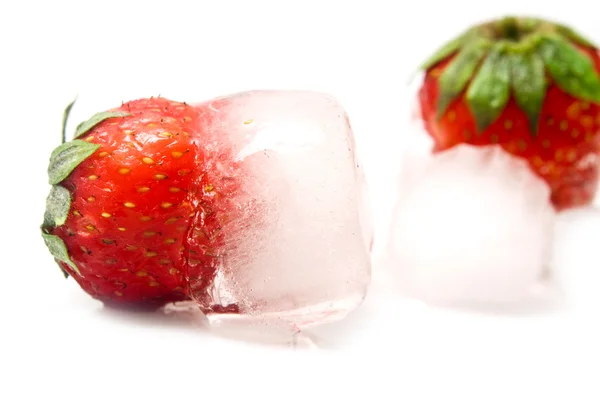 La fresa está en hielo — Foto de Stock