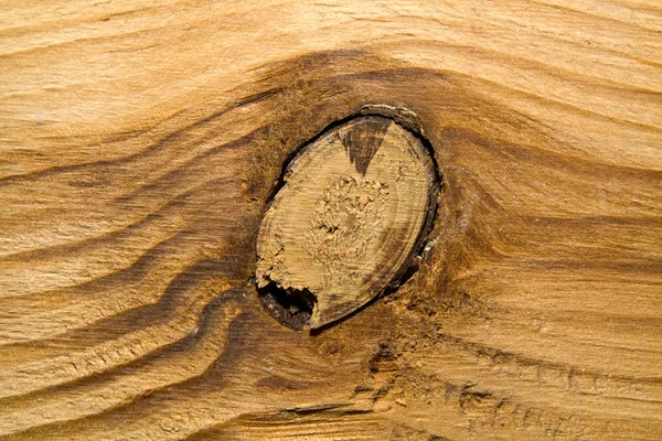 Faliste drewna — Zdjęcie stockowe