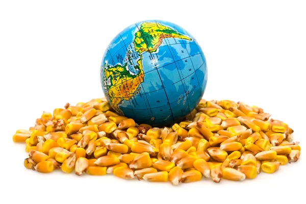 Globe and corn — Stock Photo, Image
