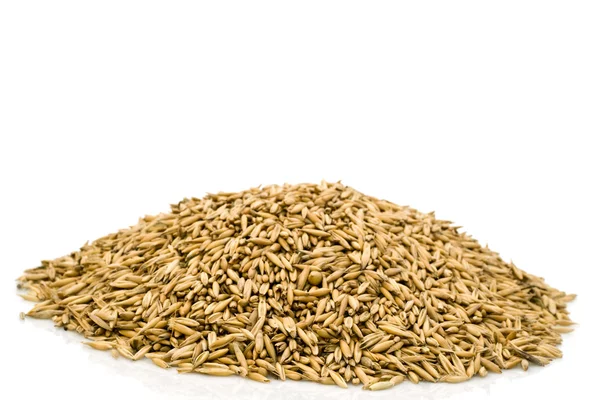 Heap oats — Stock Photo, Image