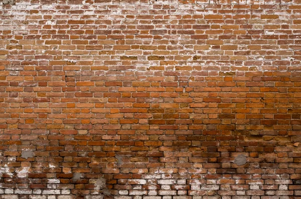 젖은 벽돌 벽 — 스톡 사진