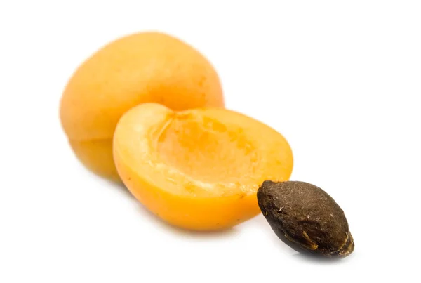 stock image Cut apricot