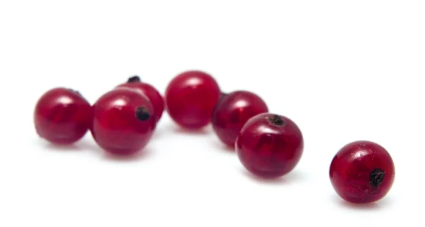 Heap of juicy currant — Stock Photo, Image