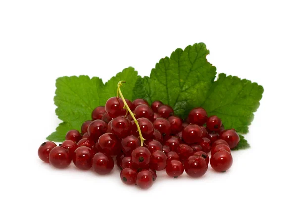Red garden-stuffs of currant — Stock Photo, Image