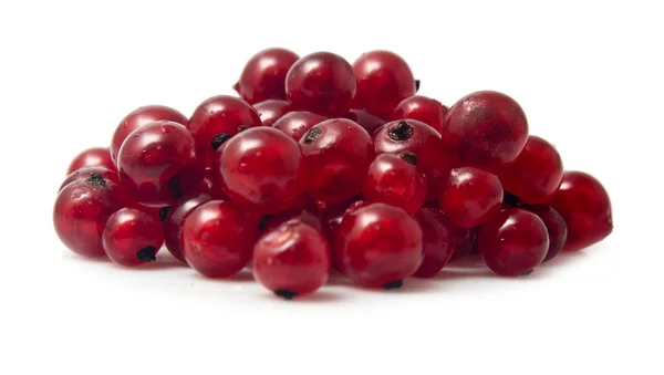 Червоні плоди — стокове фото