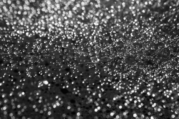 Gotas redondas de agua en una tela de araña — Foto de Stock