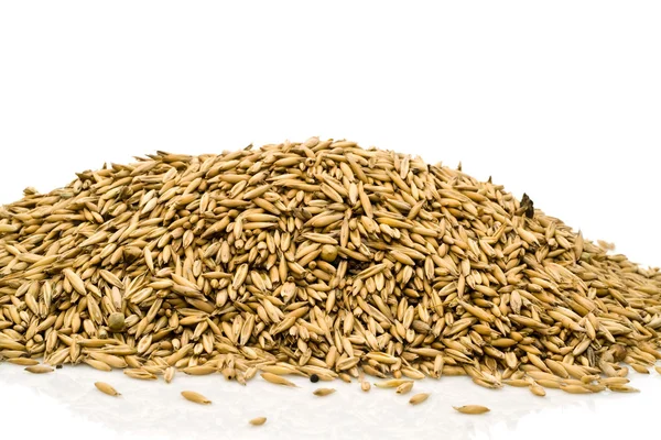 Small group of grain — Stock Photo, Image