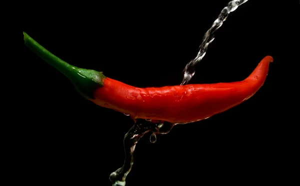 Cayenne and water — Stock Photo, Image