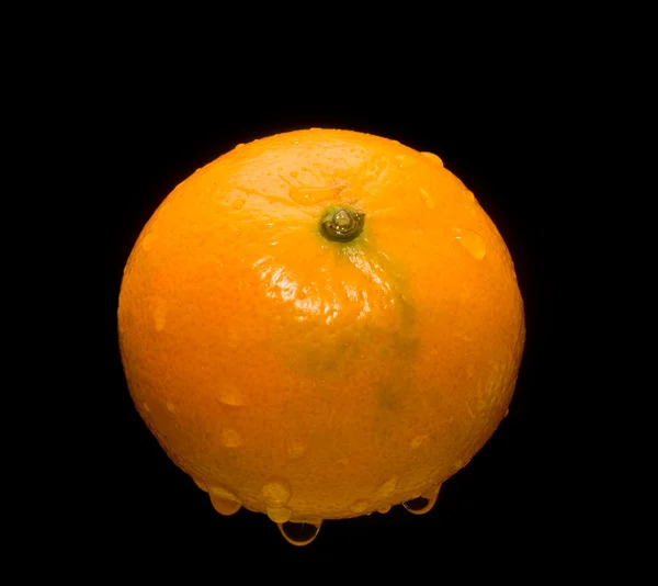 Mandarina em gotas — Fotografia de Stock