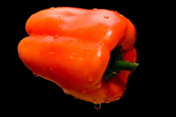 Peppar i droppar vatten — Stockfoto