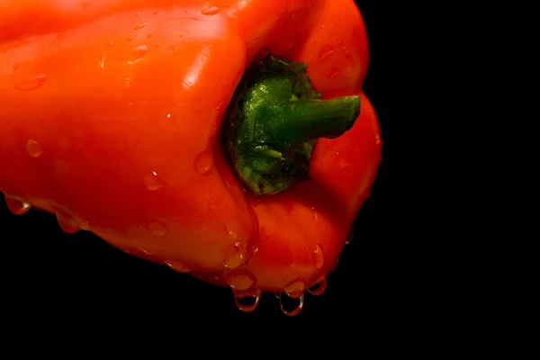 Pepper in drops — Stock Photo, Image