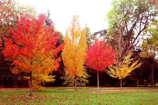 stock image Autumn scene_3