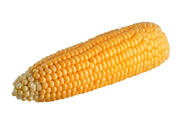 Frischer Mais auf dem Maiskolben, isoliert auf weißem Hintergrund — Stockfoto