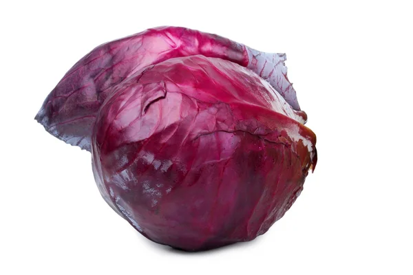 Of red cabbage closeup — Stock Photo, Image