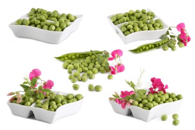 Green peas collage on a white background clipart