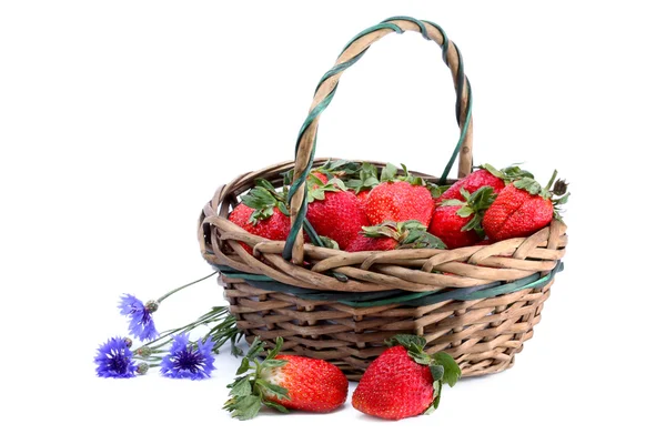 Aardbeien in een mand — Stockfoto