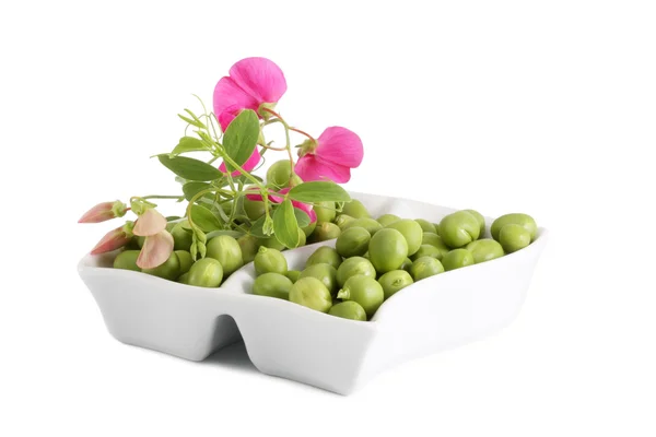 绿豌豆和一个分支与鲜花 — 图库照片