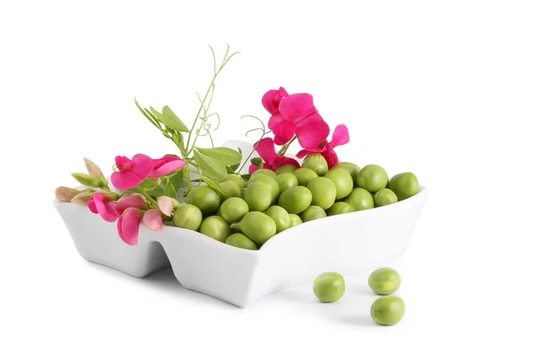 녹색 완두콩과 꽃 지점 — 스톡 사진