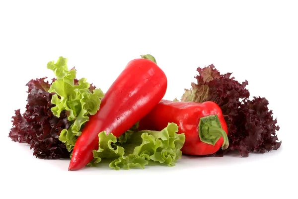 Italian salad radichchio and pepper — Stock Photo, Image