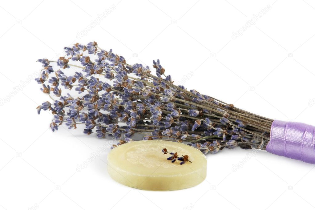 Composition of mountain lavender flowers and fragrance