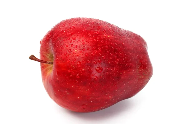 Manzana roja madura —  Fotos de Stock
