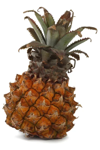 Ananas izolowany na białym tle — Zdjęcie stockowe