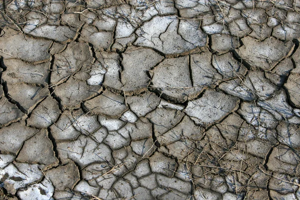 Textura da camada superficial rachada seca da terra — Fotografia de Stock