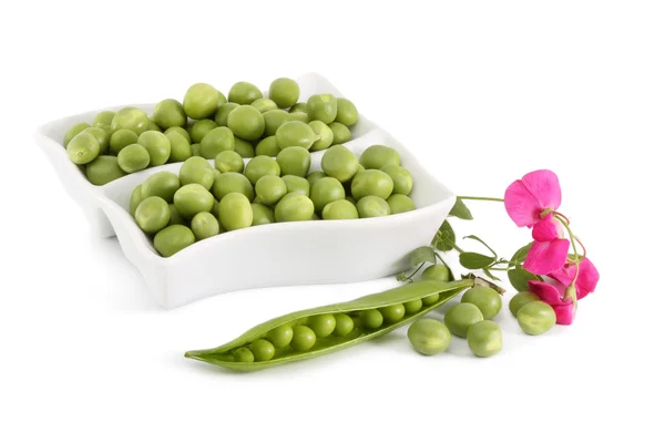 Green Peas Branch Flowers White Background — Stock Photo, Image