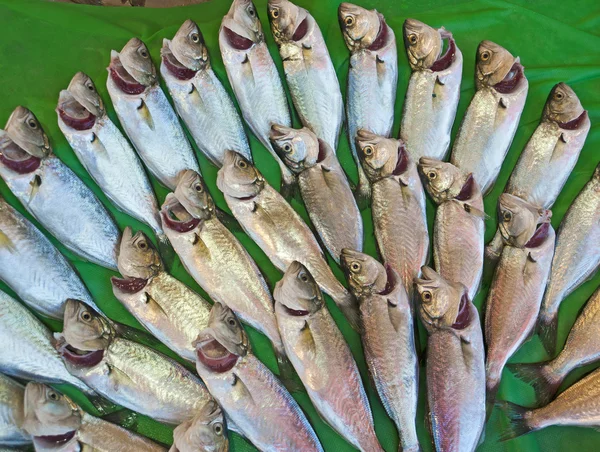 Färsk fisk på en marknad — Stockfoto