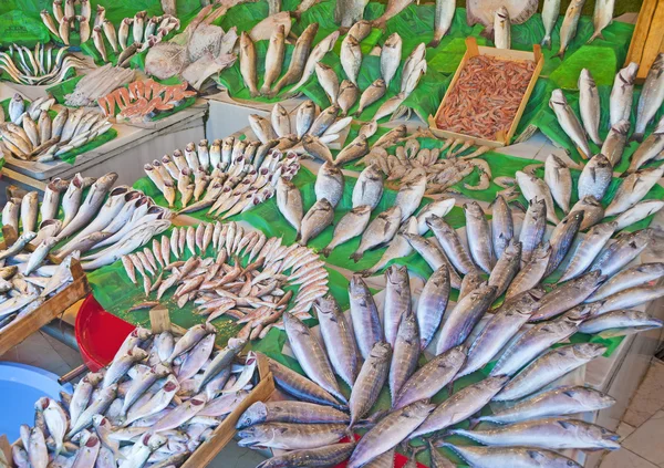 Peixes frescos num mercado — Fotografia de Stock