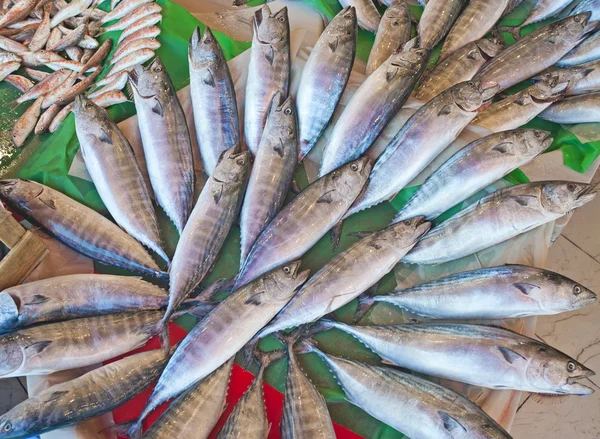 Pesce fresco in un mercato — Foto Stock