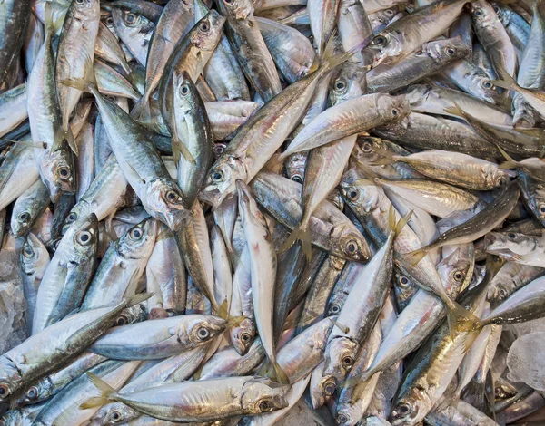 시장에서 잡은 싱싱 한 생선 — 스톡 사진