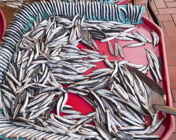 市場での新鮮な魚 — ストック写真