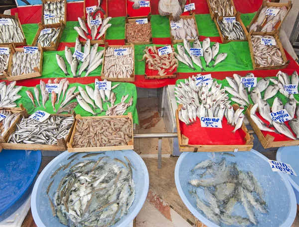 Fresh fish at a Turkish fish market — Stock Photo, Image