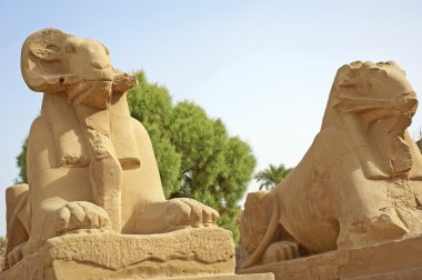 karnak Tapınağı'nda RAM Sfenks