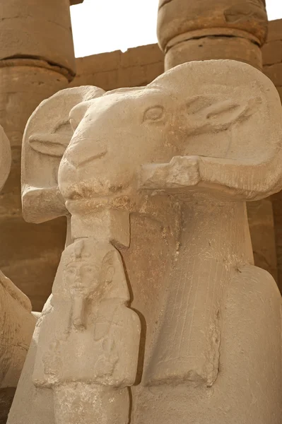 Esfinges de carneiro no Templo de Karnak — Fotografia de Stock