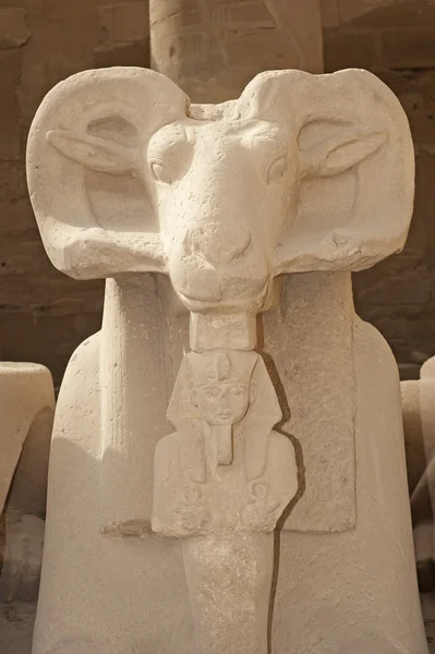 Esfinges de carnero en el templo de Karnak — Foto de Stock