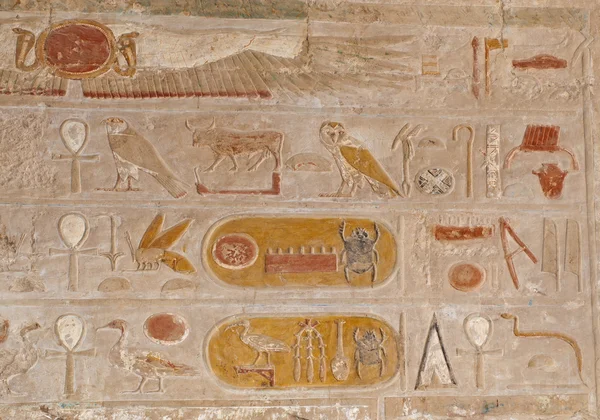 Egyptské Hieroglyfické Rytiny Zdi Hatsheput Chrámu Luxoru — Stock fotografie