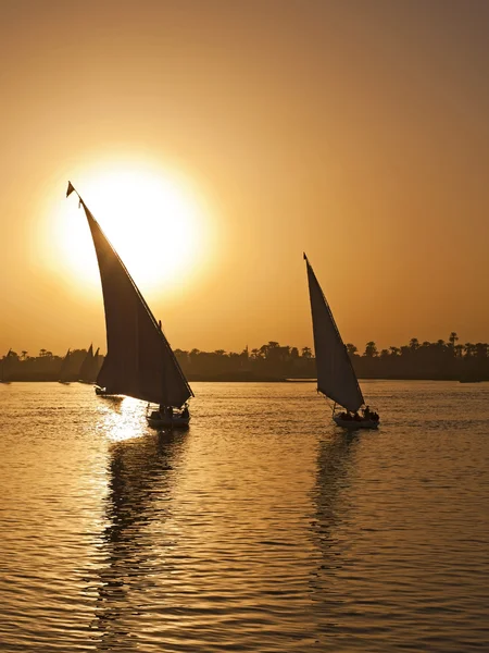 Felluca segla på Nilen i solnedgången — Stockfoto