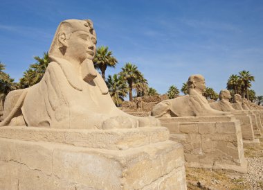 Small sphinx outside the entrance to Luxor Temple in Egypt clipart